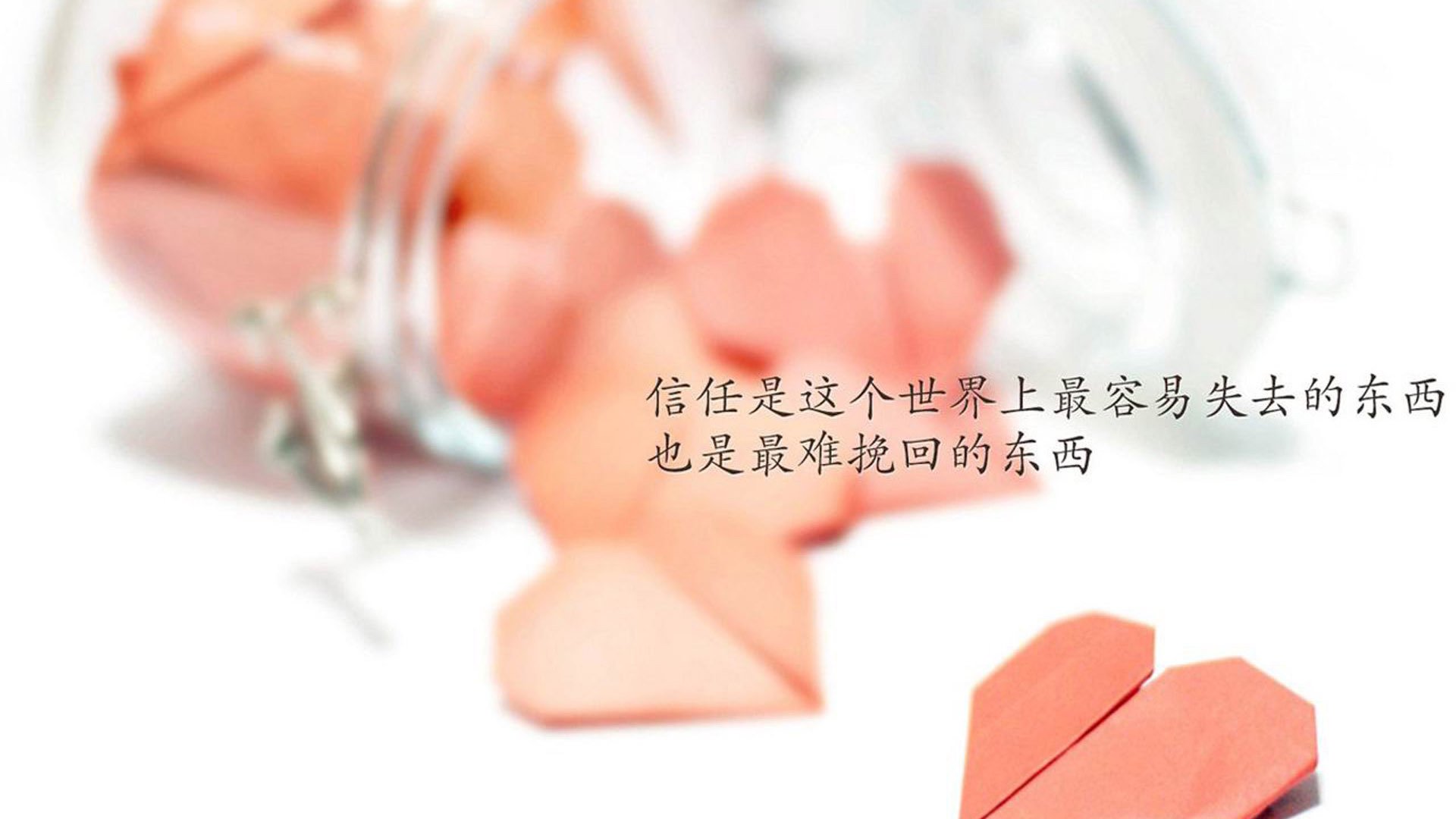 “裁判幕后:鲜为人知的判罚细节”,裁判的话