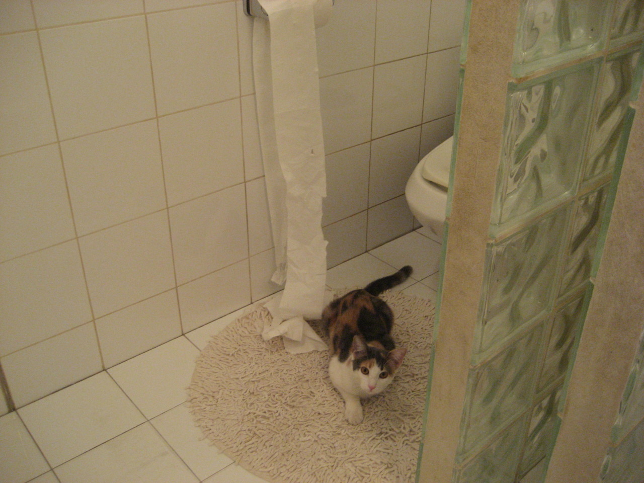 球场风云：最震撼的单场爆发瞬间，球场风云视频