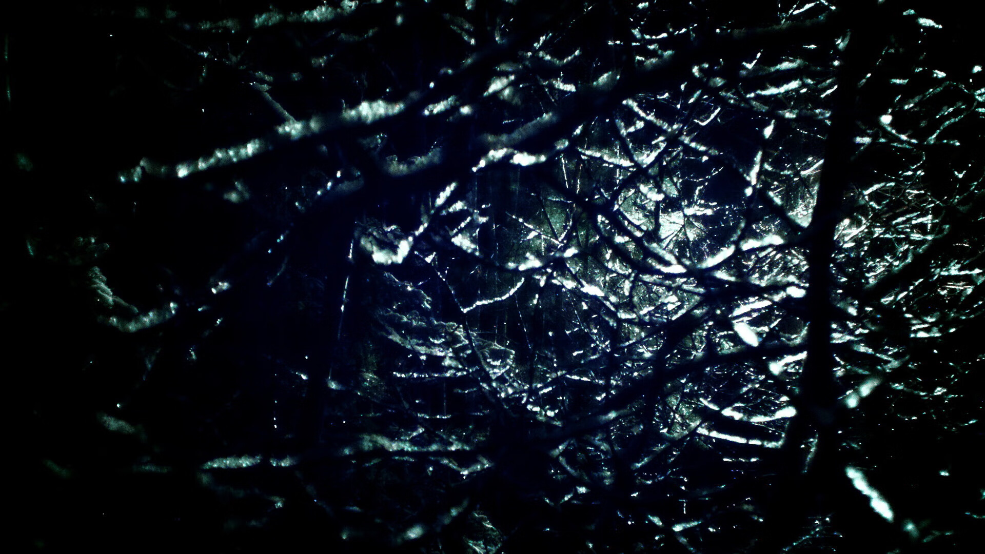 多特蒙德在主场击败对手，积分榜上升至第二位，多特蒙德主力阵容2021