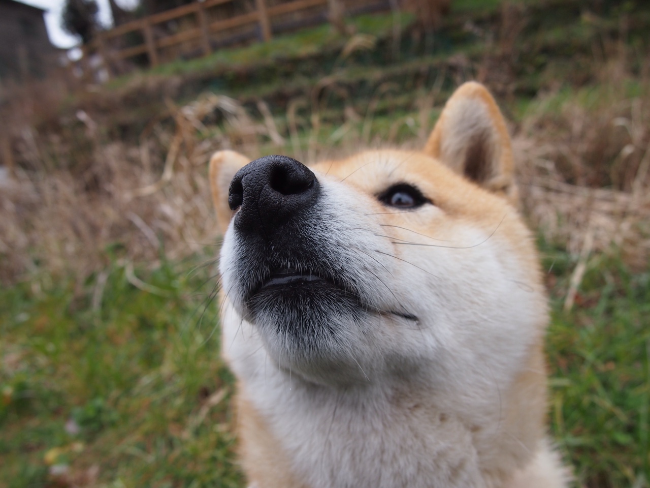欧洲足坛的精彩对决,谁能笑到最后?,欧洲足球比赛视频