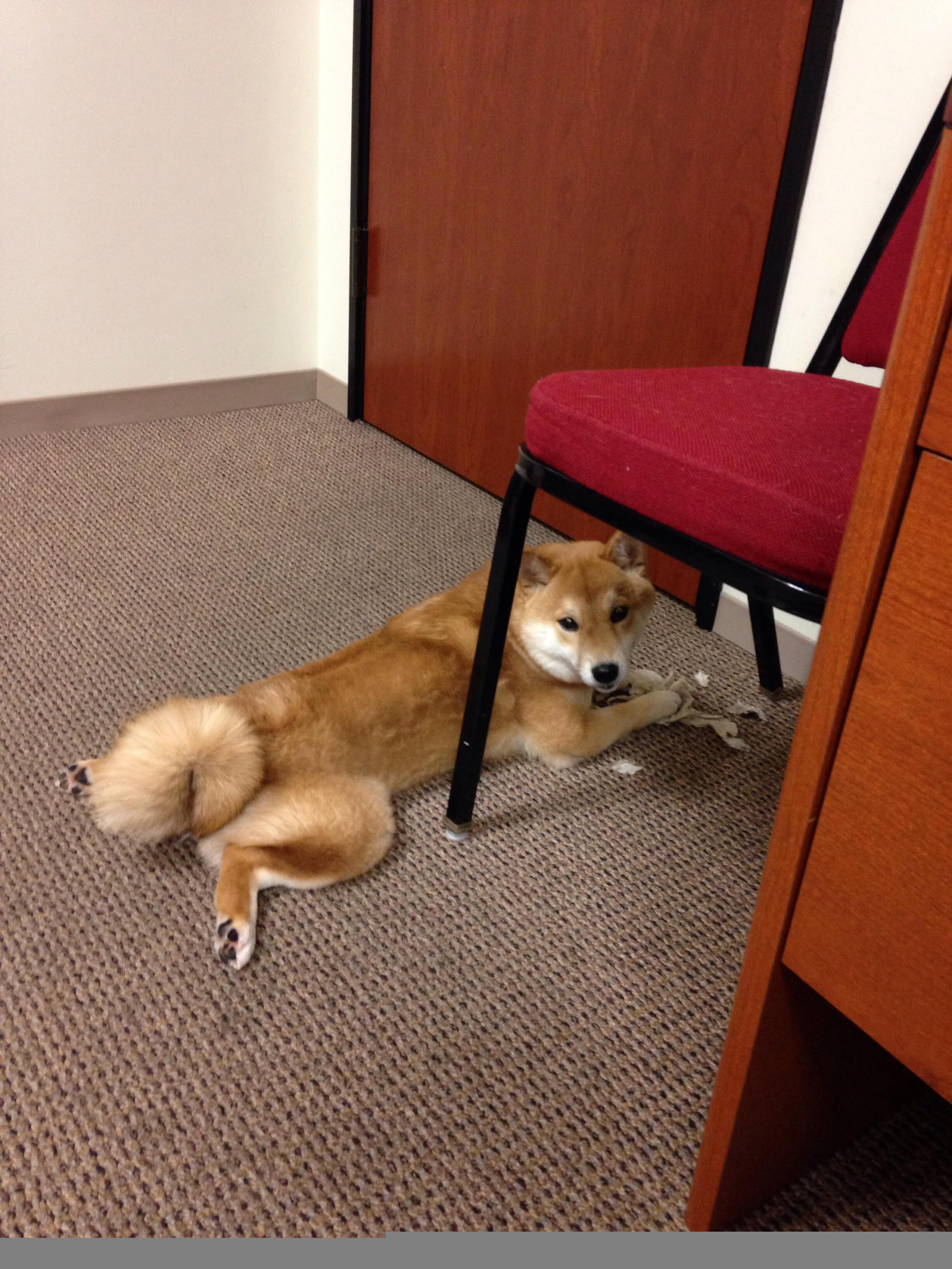 英雄本色,关键时刻胜负由此决定!,英雄本色成就了谁