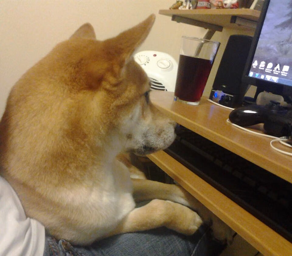 世界杯中国女足逆转 球员发挥超出预期，世界杯中国女足最好成绩