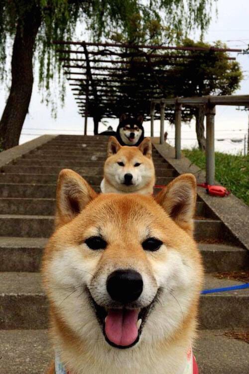 体育新闻中心上线体育内容多端分发系统,体育新闻报道栏目