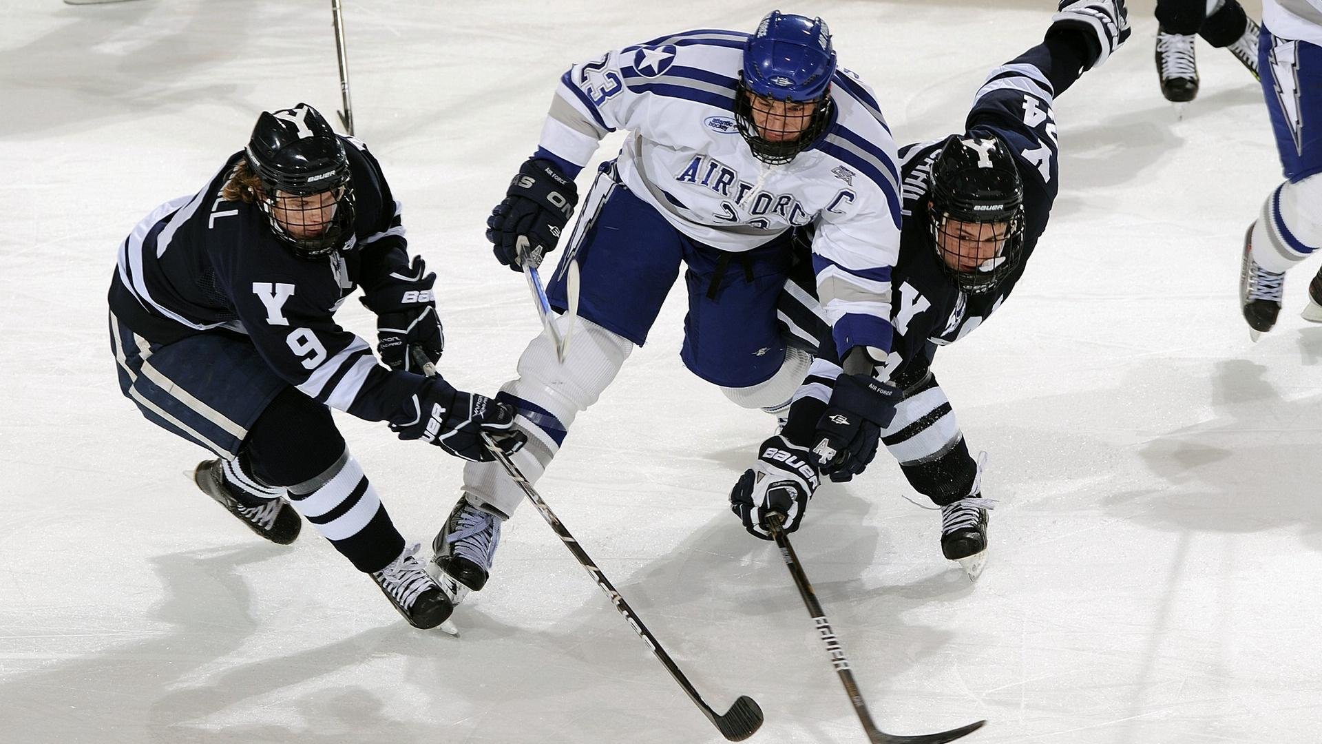_未来体育馆国际巡展：科技打造极致体验_，未来的体育馆图片